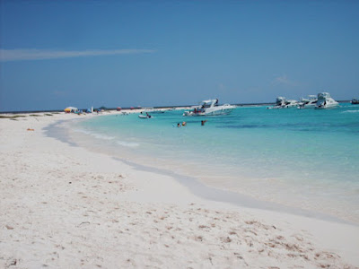 Yammine playas de Venezuela 3